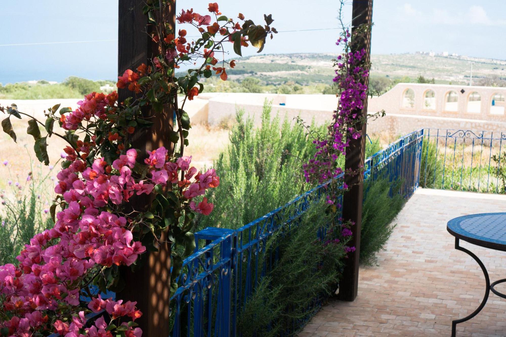 Villa Habibi Εσαουίρα Εξωτερικό φωτογραφία